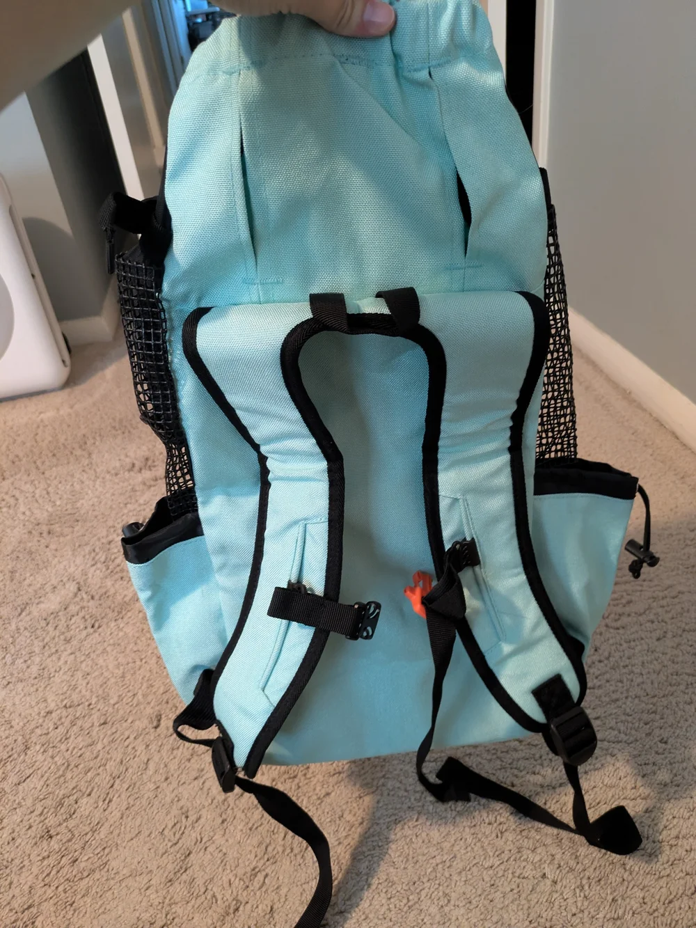 K9 Sport Sack mint green